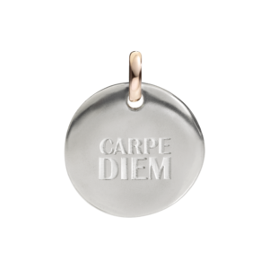Charm Queriot Monete in Plata F14A03S9214 - F14A03S9214
